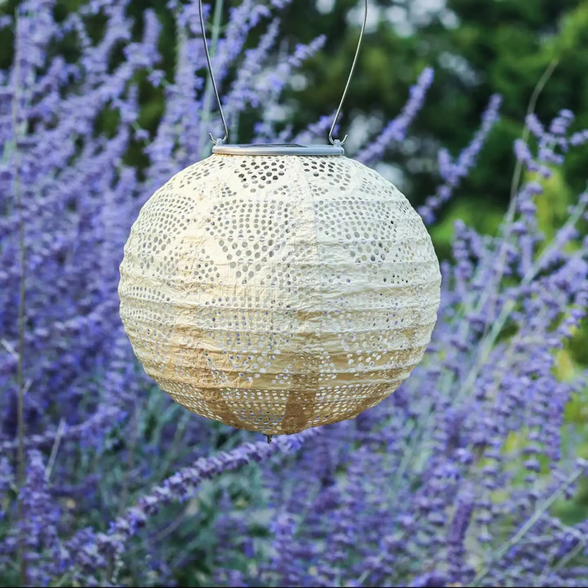 8" Globe Solar Lantern