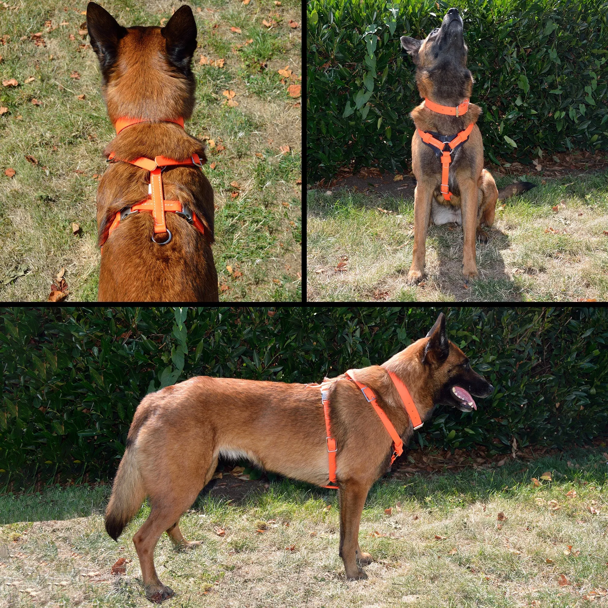 All Weather Biothane Harness