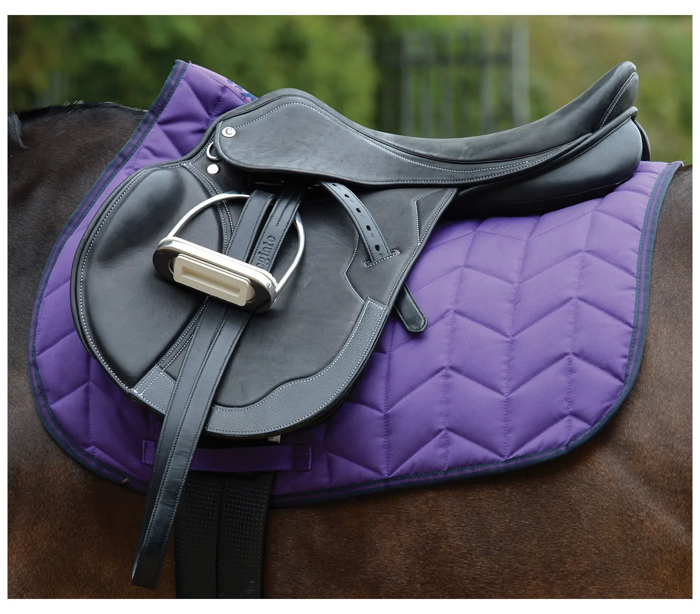 Saxon Element Quilted All Purpose Saddle Pad